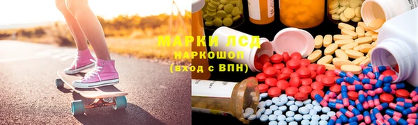 ПСИЛОЦИБИНОВЫЕ ГРИБЫ Абаза