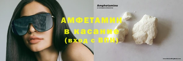 индика Алзамай