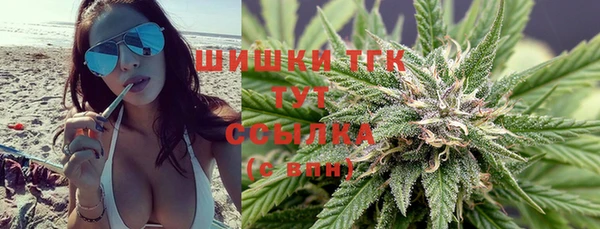 сатива Алексеевка